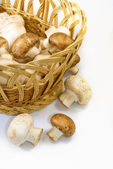  mushrooms in basket