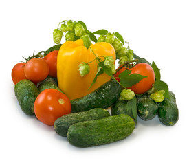 vegetables on the plate on a white background