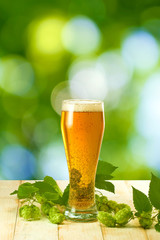 mugs with beer and hop