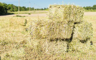 Cubic bales of dry hay