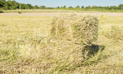 Cubic bales of dry hay