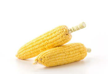 ears of corn