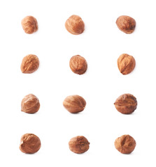 Single hazelnut isolated