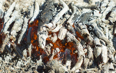 Texture - the process of burning firewood