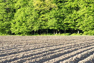 Landscape - land, field