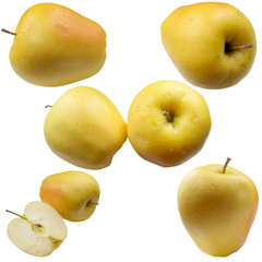 Autumn Apples.