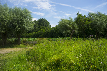 Twekkelo, a small country side village in the Netherlands
