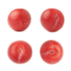 Single red victoria plum isolated