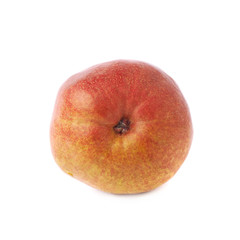 Red pear fruit isolated