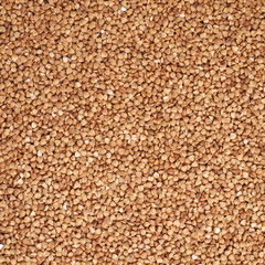 Surface covered with the buckwheat seeds