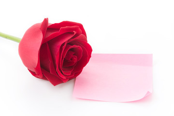 red rose with pink paper note