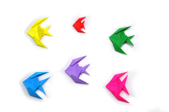 origami fish