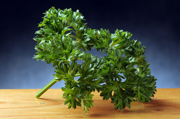 Petroselinum crispum パセリ Prezzemolo Peršin Perejil Parsley Persilja Persil Pietruszka zwyczajna Петрушка кудрявая Petersilie 香芹 بقدونس
