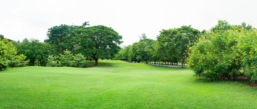 green grass field in big city park panoram