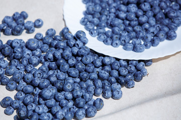 Blue Blueberries
fruit