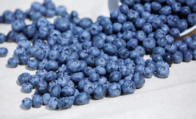 Blue Blueberries
fruit