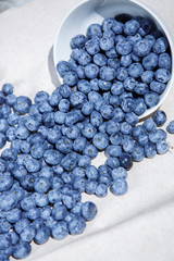 Blue Blueberries
fruit