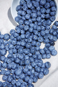 Blue Blueberries
fruit