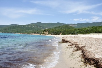 plage du sud de la corse