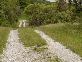 White gravel road through lush countryside, Vermont.