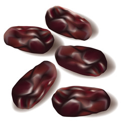 Dates. Fruit of the date palm.