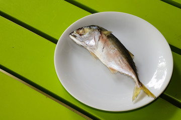 Single mackerel