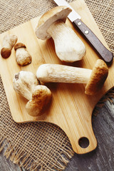 Boletus edulis on cutting board