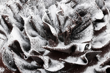 Chocolate cake closeup