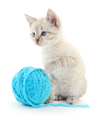 Cat with ball of yarn