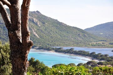 Fototapeta na wymiar santa giulia, Corse