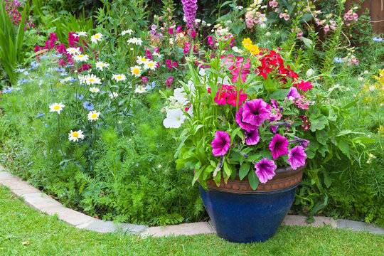 Mixed flower border with potted plants