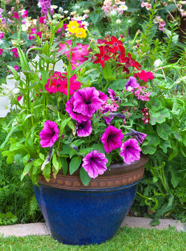Mixed flowers set in a blue planter.
