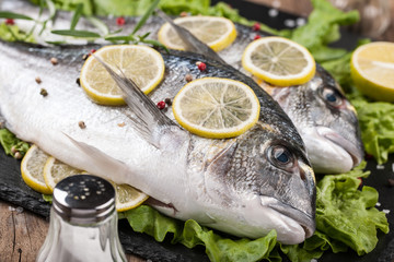 Raw fresh fish dorado