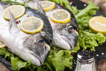 Raw fresh fish dorado