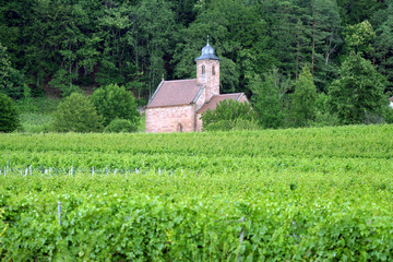 Fototapeta na wymiar Germania,Palatinato,una chiesa