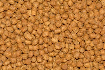 dry food for cats