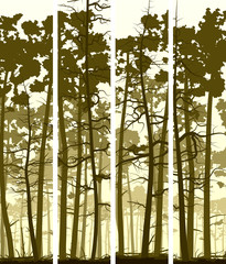 Vertical banners of coniferous wood.
