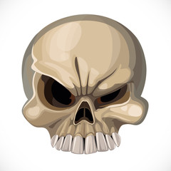Scary skull isolated on a white background