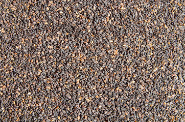 Black sesame seed, cereal, food agriculture background.