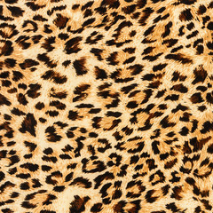 texture of print fabric striped leopard - 86662209
