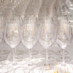 Wine tasting. Glasses