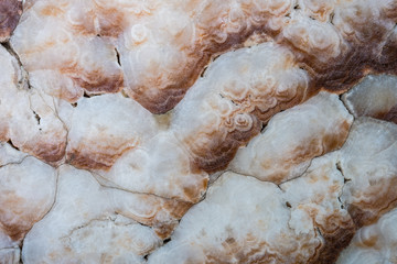 texture of natural marble stone