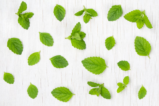 mint leaves isolated on a white wooden background.