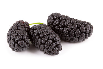 mulberries