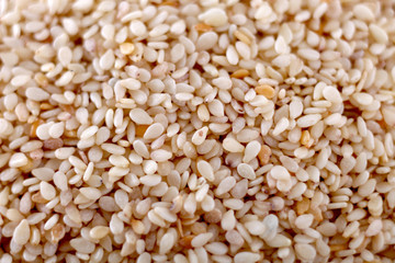 Sesame close-up shot