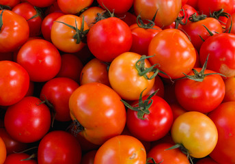 Group of fresh tomatoes in the market,Thailand