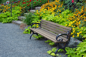 Wooden garden bench in summer garden