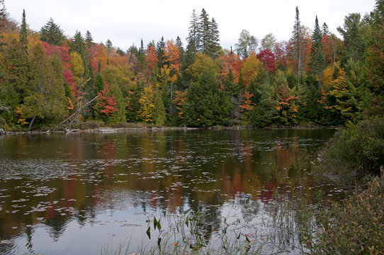 Canoe lake Algonquin parc Canada, Indian Summer