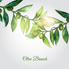 Vector watercolor hand drawn olive branch background with green leaves and shiny particles.