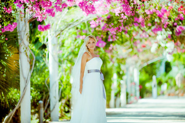 Wedding Julia